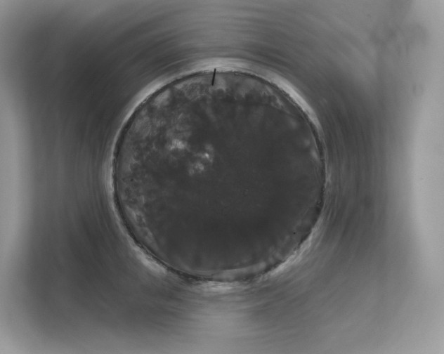 X0000111590853200907301425