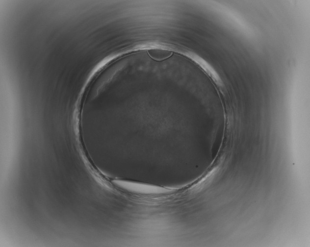 X0000111590854200907301425