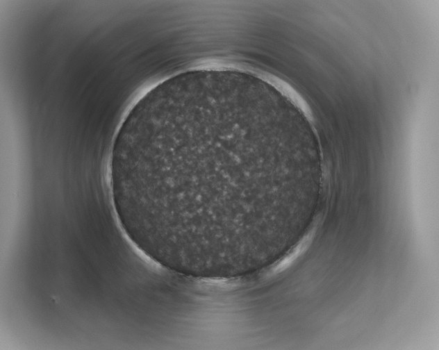 X0000111590855200907301425