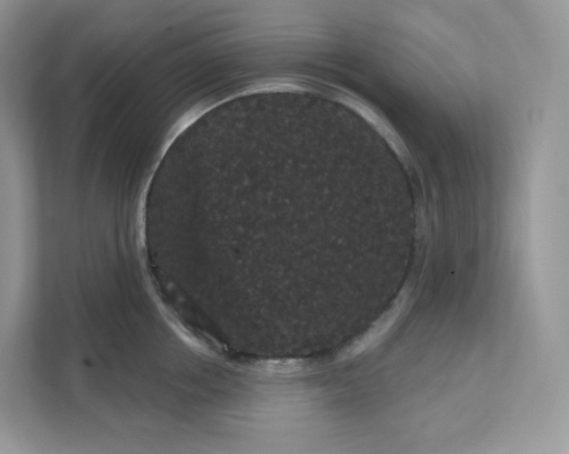 X0000111590858200907301425