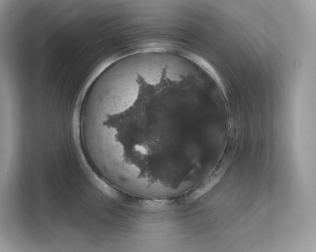 X0000111590859200907301425