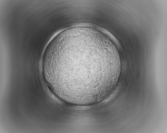 X0000111590860200907301425