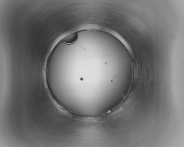 X0000111590861200907301425