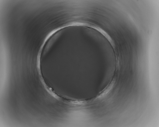 X0000111590862200907301425