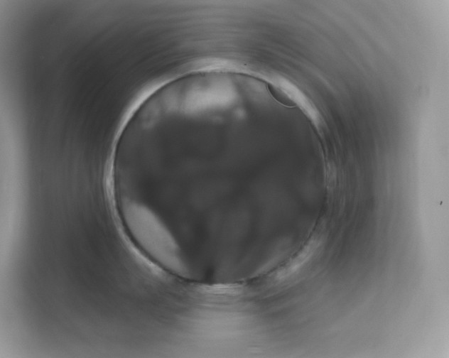 X0000111590863200907301425