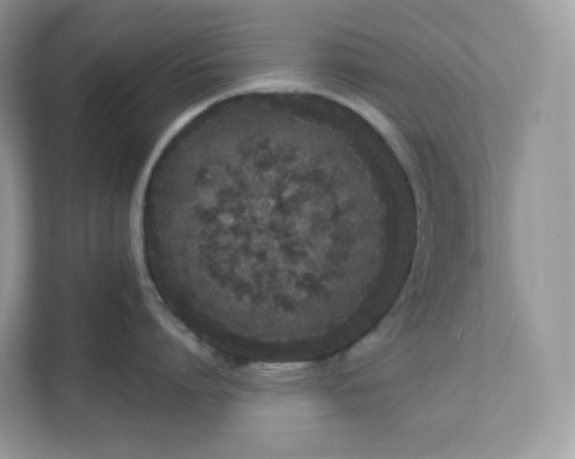 X0000111590864200907301425