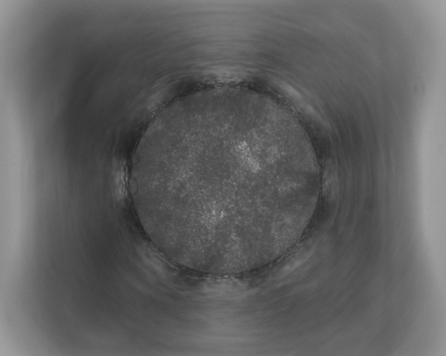 X0000111590866200907301424