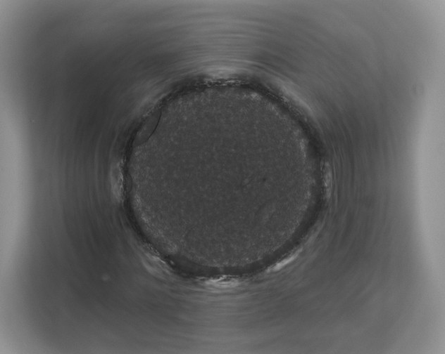 X0000111590868200907301424