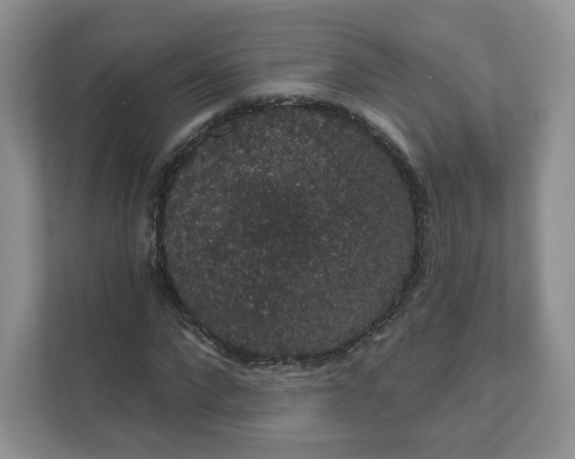 X0000111590872200907301424