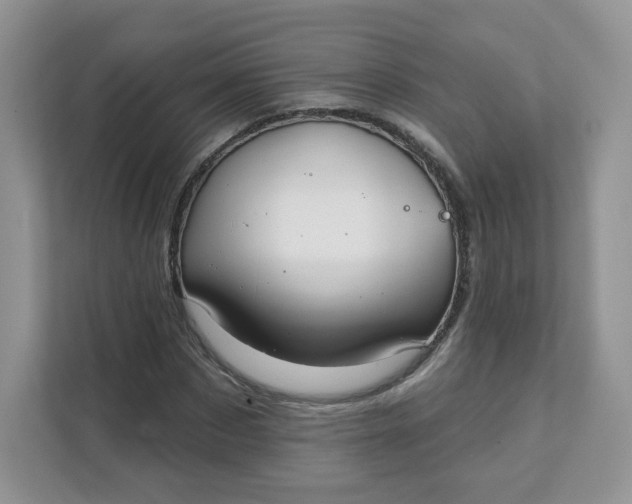 X0000111590873200907301424