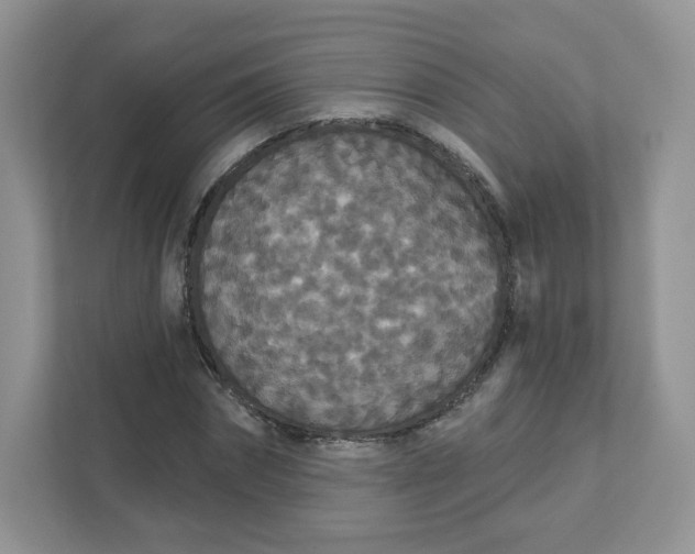 X0000111590874200907301424