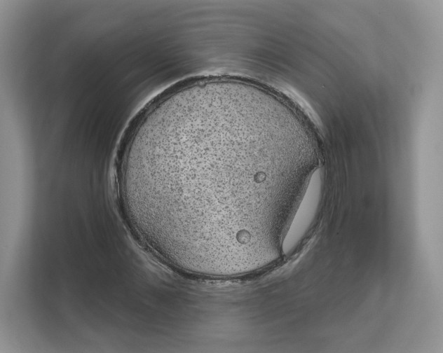 X0000111590876200907301424