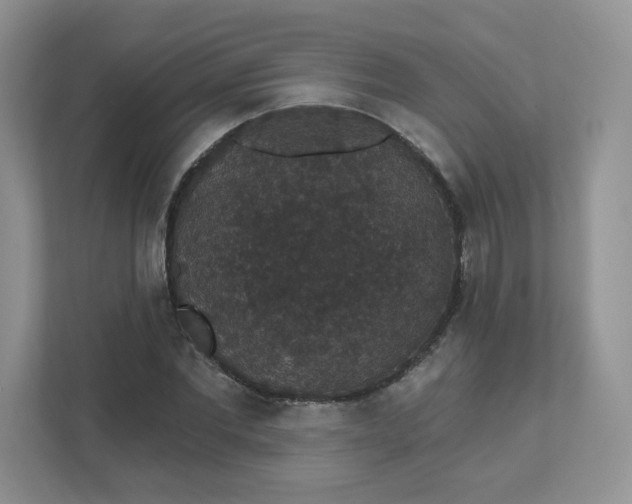 X0000111590877200907301424