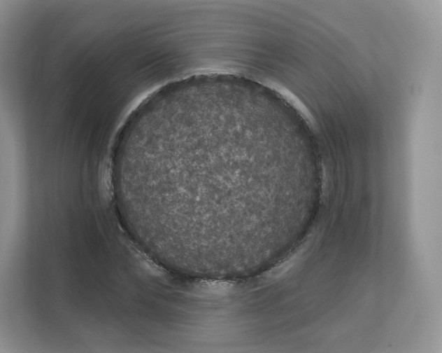 X0000111590878200907301424