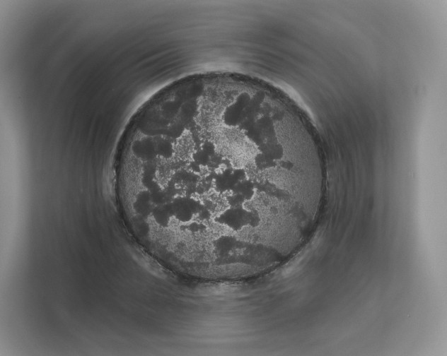 X0000111590879200907301424