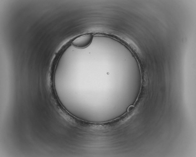 X0000111590880200907301424