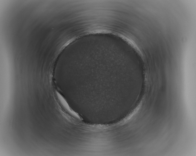 X0000111590881200907301424