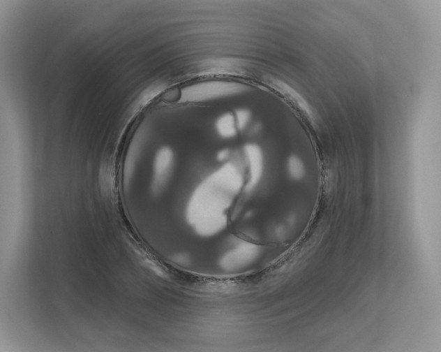 X0000111590882200907301424