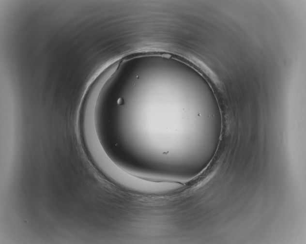 X0000111590885200907301424