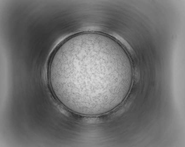 X0000111590886200907301424