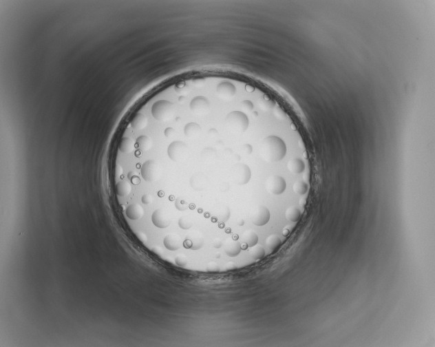 X0000111590887200907301424