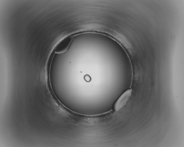 X0000111590888200907301424