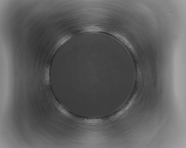 X0000111590889200907301424