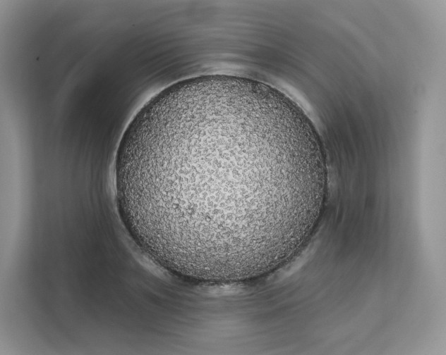 X0000111590891200907301424