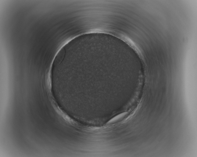 X0000111590892200907301424