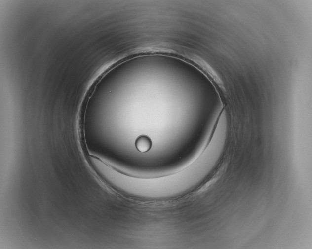 X0000111590893200907301424