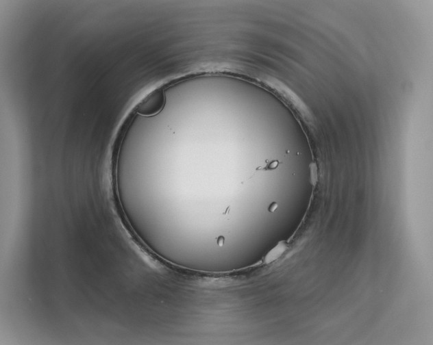 X0000111590894200907301424