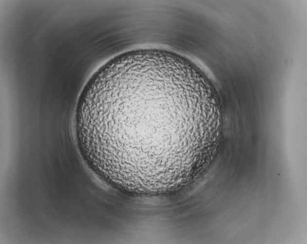 X0000111590895200907301424