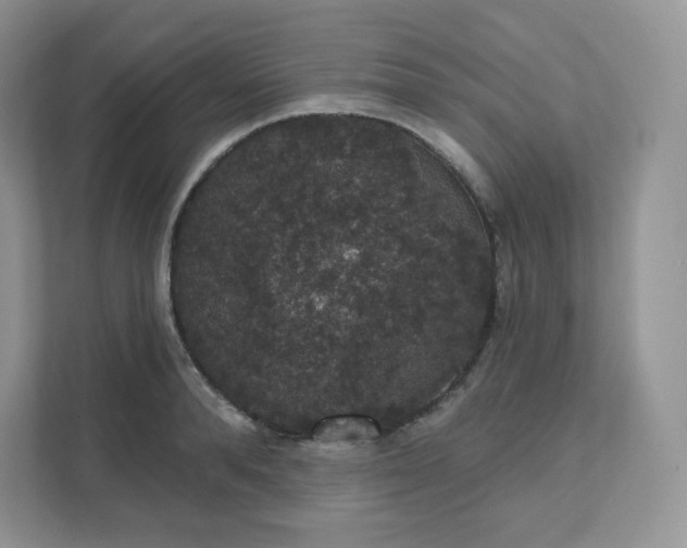 X0000111590896200907301424