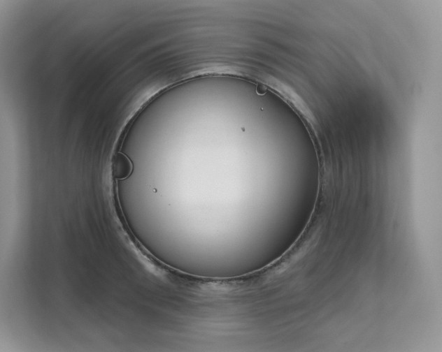 X0000111590898200907301424