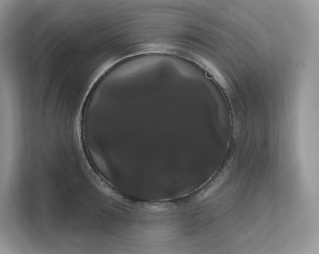 X0000111590899200907301424