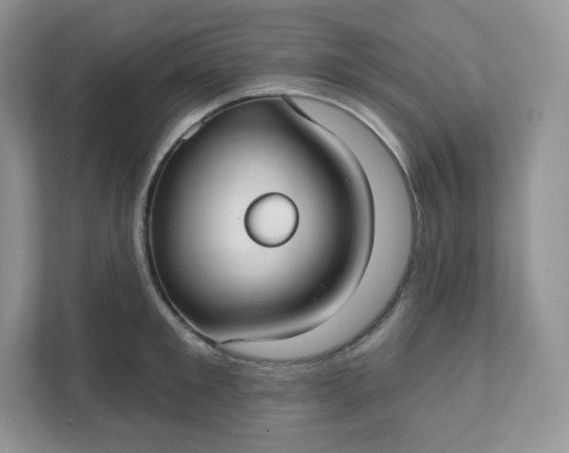 X0000111590901200907301424