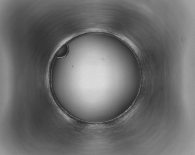 X0000111590902200907301424