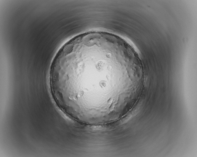 X0000111590903200907301423