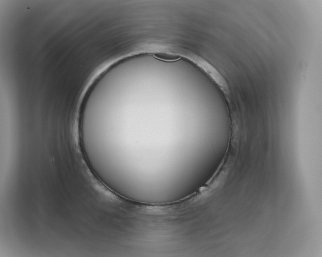 X0000111590904200907301423