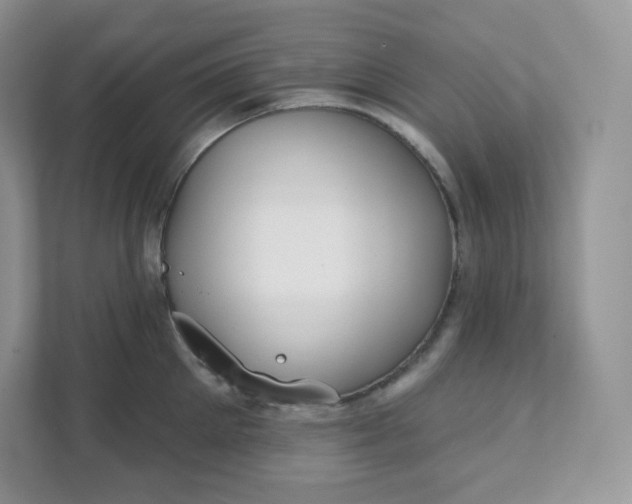 X0000111590905200907301423