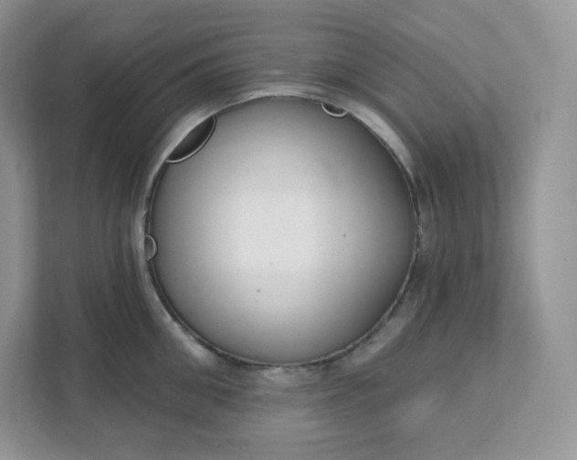 X0000111590906200907301423