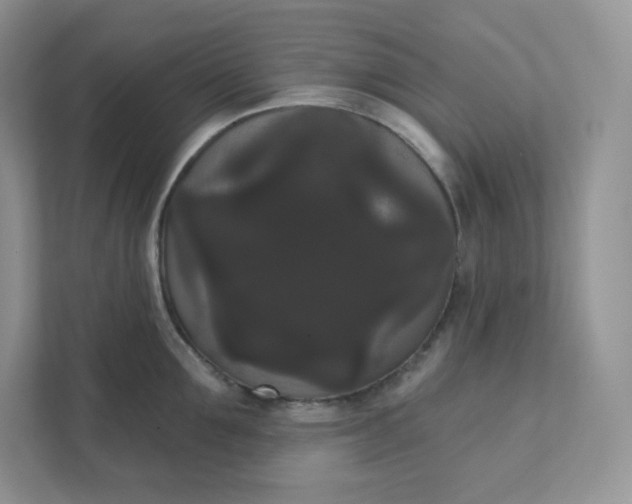 X0000111590907200907301423