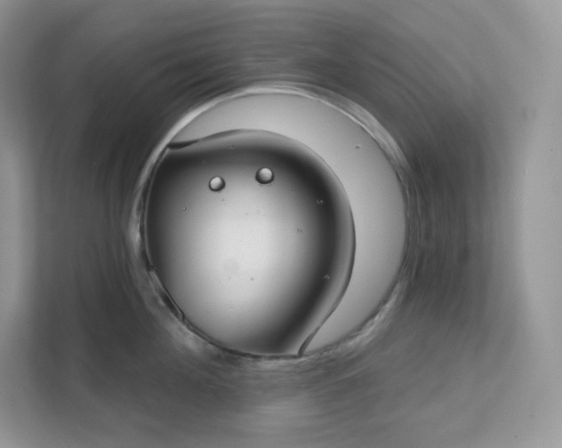 X0000111590908200907301423