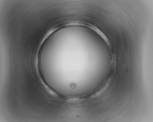 X0000111590909200907301423