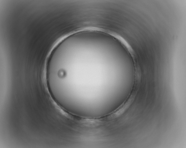 X0000111590910200907301423