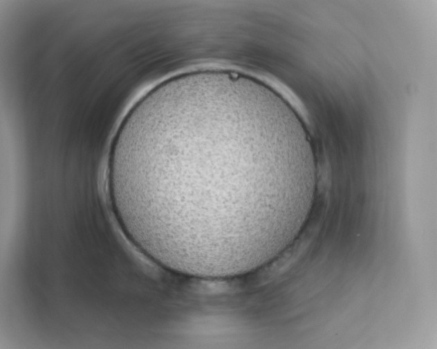 X0000111590911200907301423