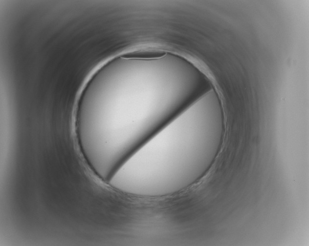 X0000111590912200907301423