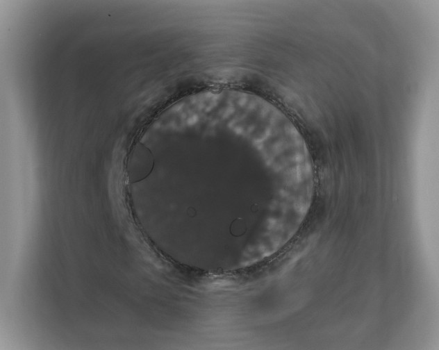 X0000111590913200907301423