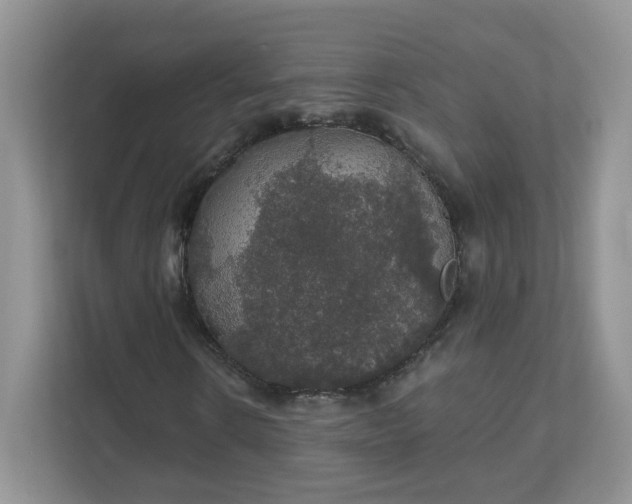 X0000111590914200907301423