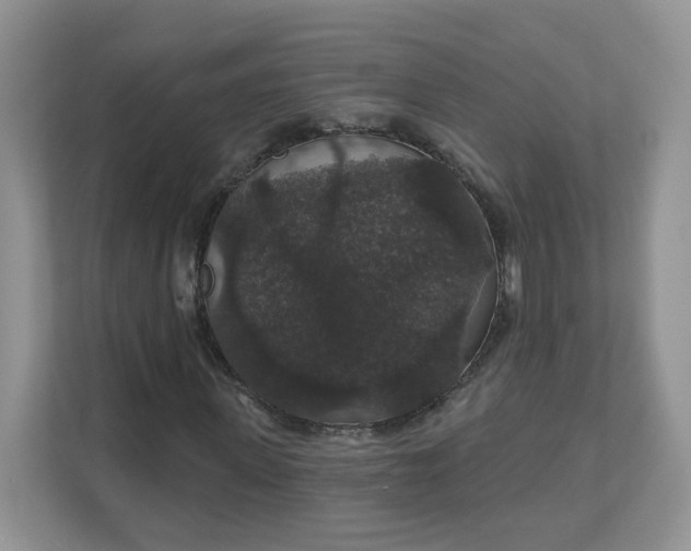 X0000111590915200907301423